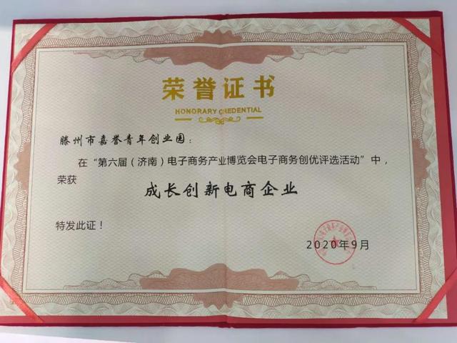 滕州兩企亮相第六屆電商博覽會，捧回“成長創新電商企業”大獎